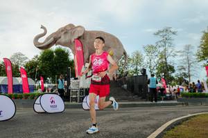 BIB: 
                            <button type="button" onclick="openModal(26529082)" class="btn btn-primary btn-sm float-right btn-popup" data-toggle="modal" data-target=".modal-high-quality">
                        <i class="fas fa-shopping-cart"></i> Add to Cart
                    </button>
                                            <button type="button" onclick="isThisMe(26529082, true)" class="btn btn-success btn-sm float-right btn-popup btn-isme hidden" data-toggle="tooltip" data-placement="bottom" title="นี่คือรูปของคุณใช่ไหม คลิกที่นี่เพื่อเอาเข้าอัลบั้ม">
                        <i class="fas fa-plus"></i> Add to album
                    </button>
                    <button type="button" onclick="isThisMe(26529082, false)" class="btn btn-warning btn-sm float-right btn-popup btn-isnotme hidden">
                        <i class="fas fa-ban"></i> Remove from album
                    </button>